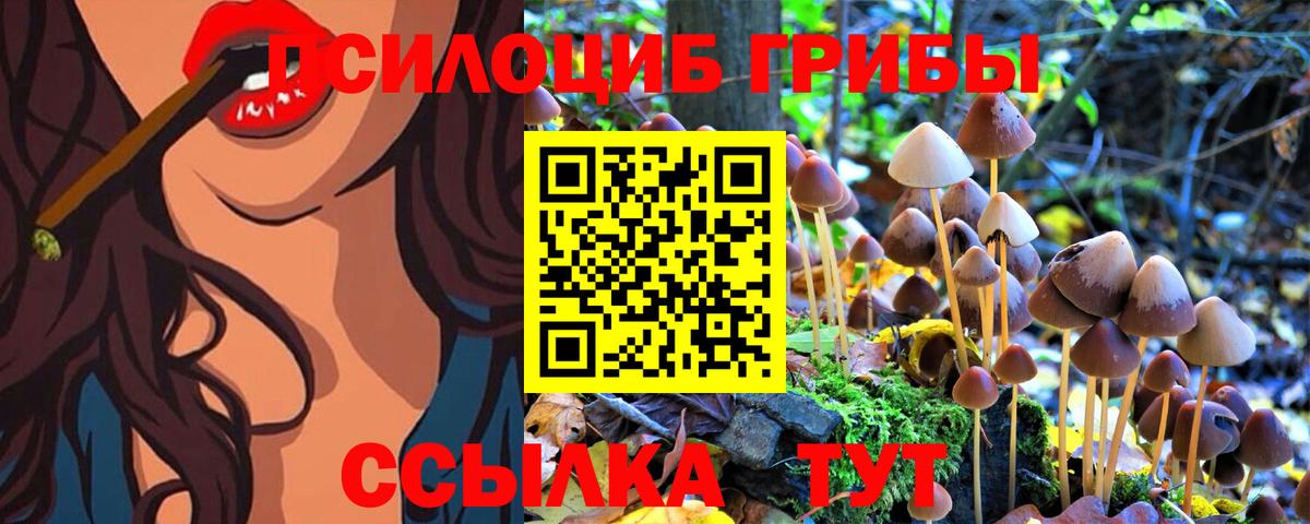 Псилоцибиновые грибы Cubensis  Галлюциногенные грибы Magic Shrooms  Миллерово  Вход с VPN 